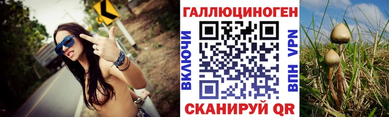 Псилоцибиновые грибы ЛСД  наркота  Торопец 